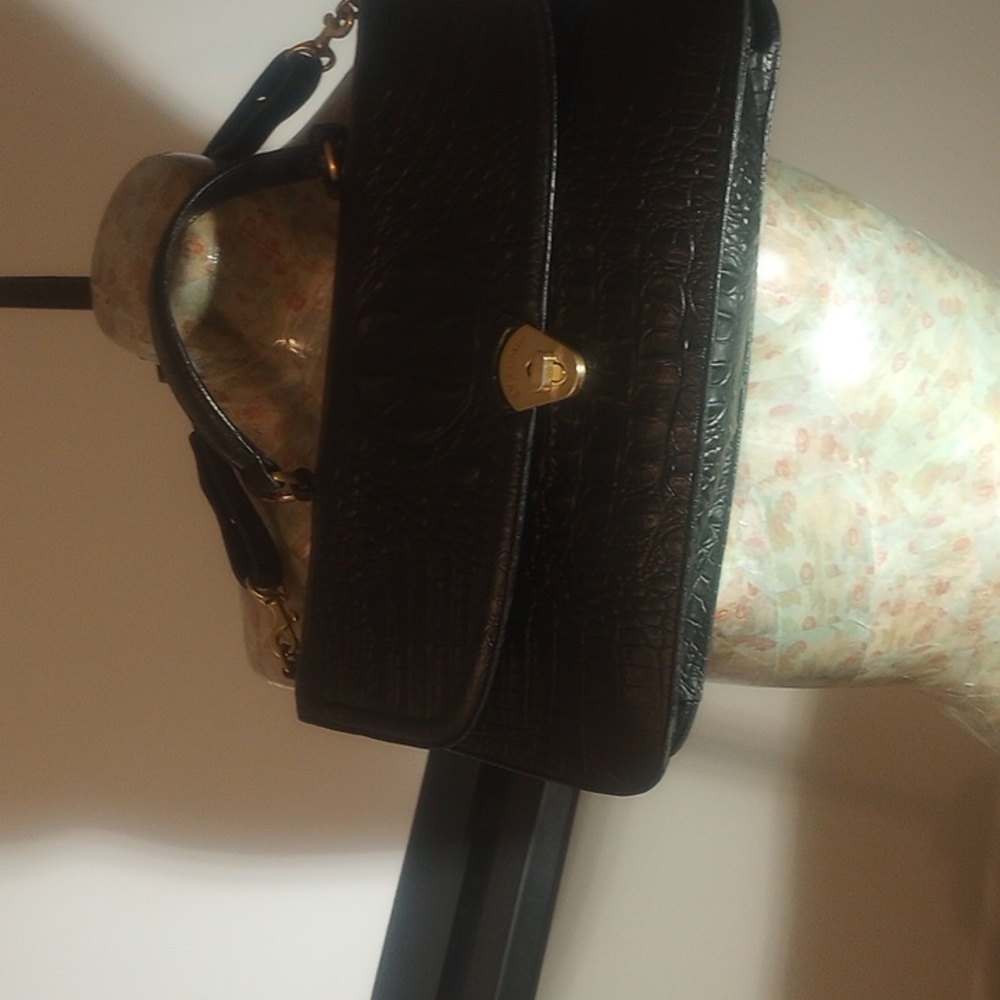 Brahmin with a pocket back